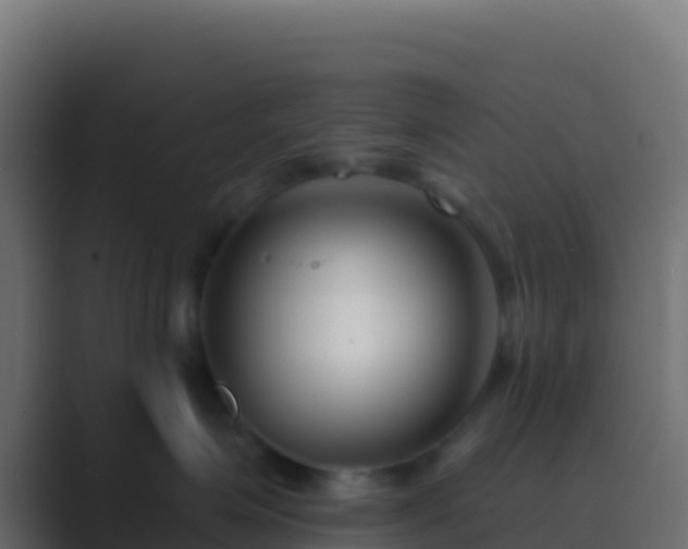 X0000089740623200706281608