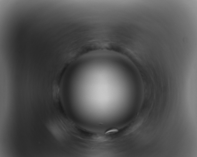 X0000089740624200706281608