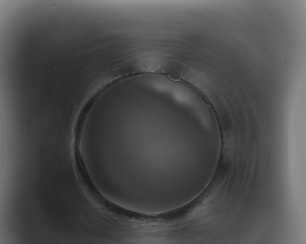 X0000089740626200706281608