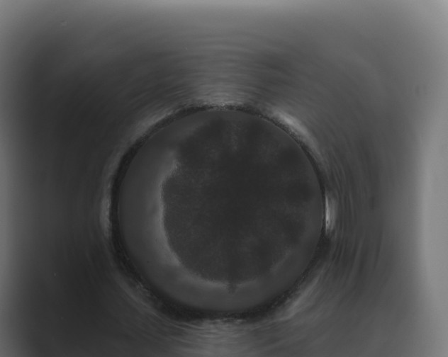 X0000089740627200706281608