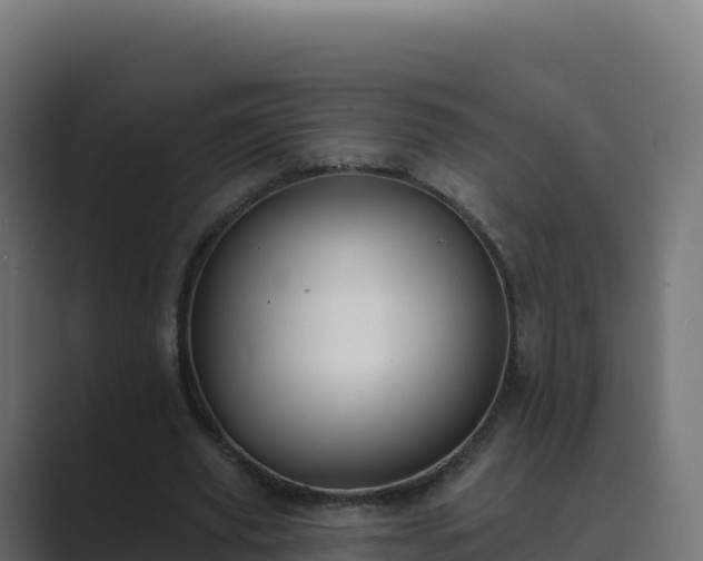 X0000089740629200706281608