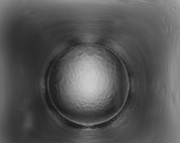 X0000089740634200706281608