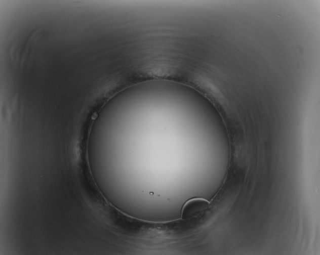 X0000089740635200706281608