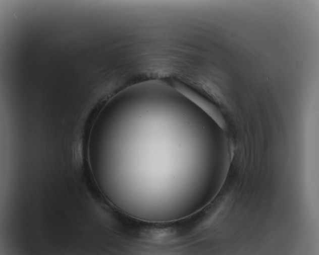 X0000089740638200706281608