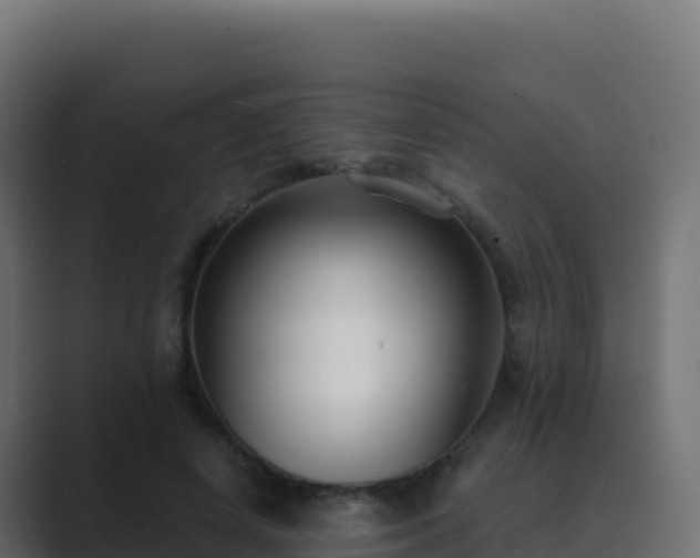 X0000089740642200706281608