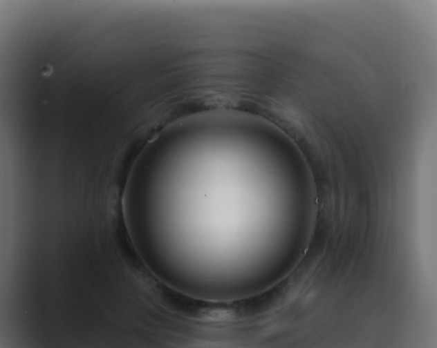 X0000089740649200706281608