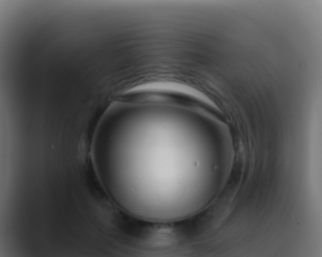 X0000089740651200706281608