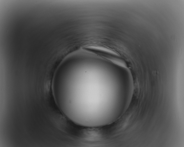 X0000089740652200706281608