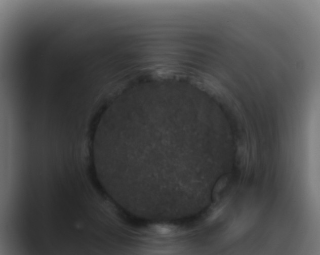 X0000089740654200706281608