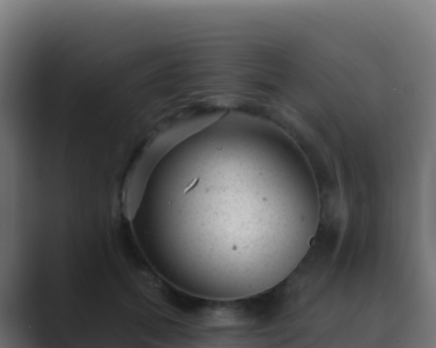 X0000089740655200706281608