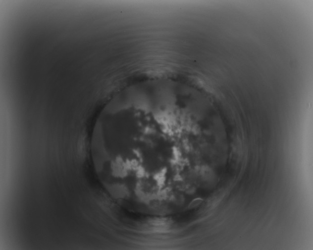 X0000089740659200706281608