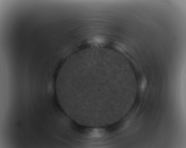 X0000089740663200706281608