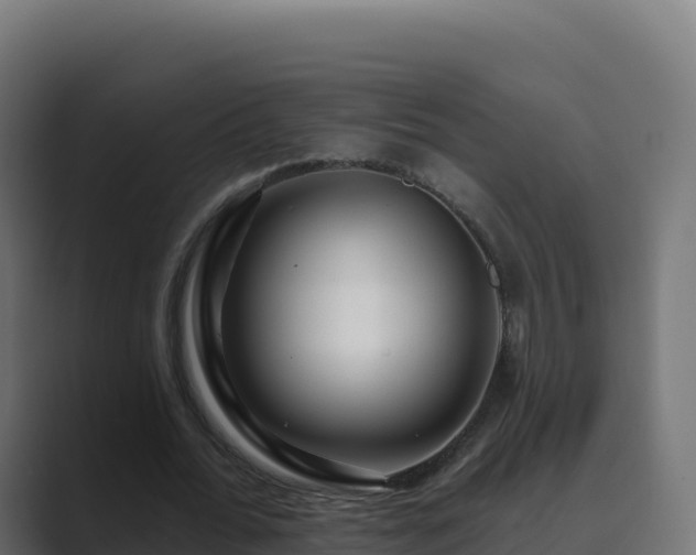 X0000089740676200706281608