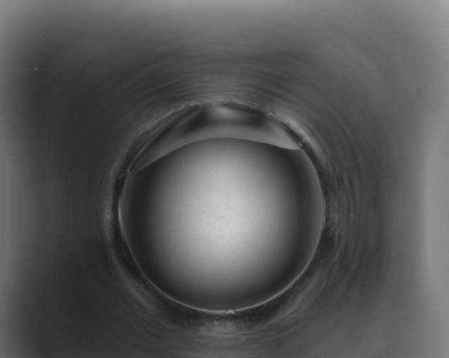 X0000089740677200706281608