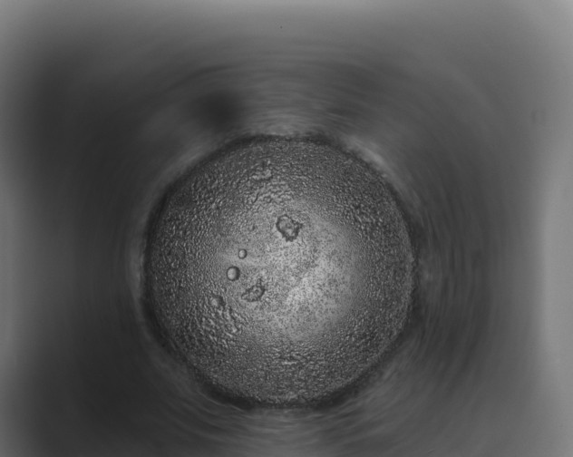 X0000089740679200706281608