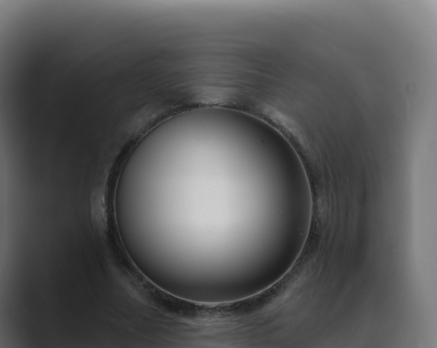X0000089740682200706281608
