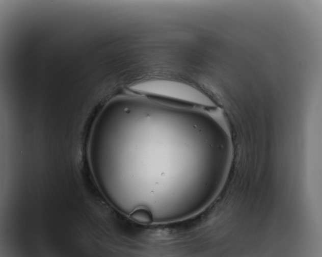 X0000089740687200706281608