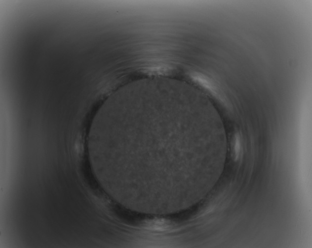 X0000089740695200706281607
