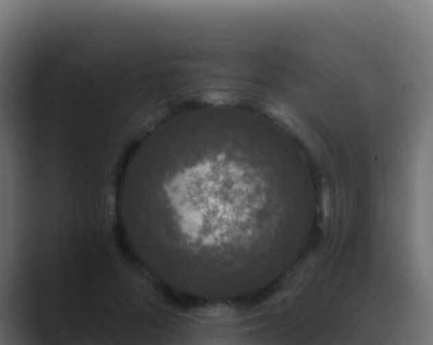 X0000089740696200706281607