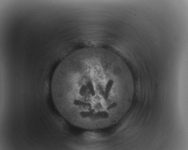 X0000089740699200706281607