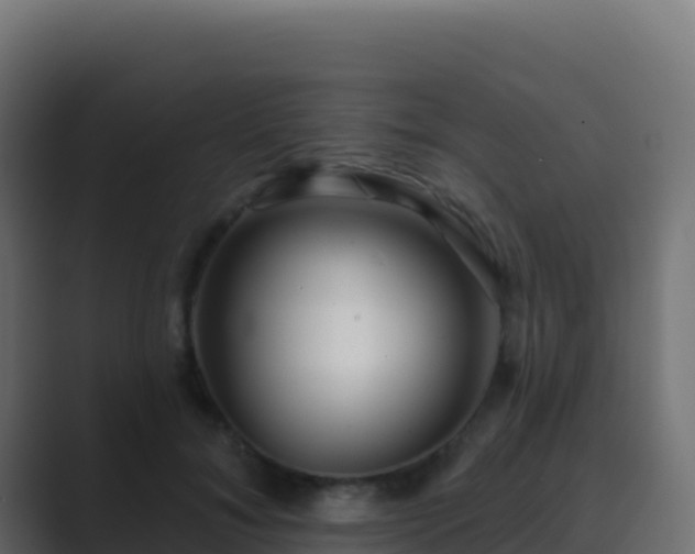 X0000089740700200706281607