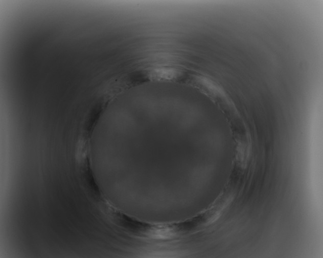 X0000089740701200706281607
