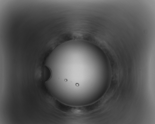 X0000089740706200706281607