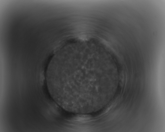 X0000089740707200706281607