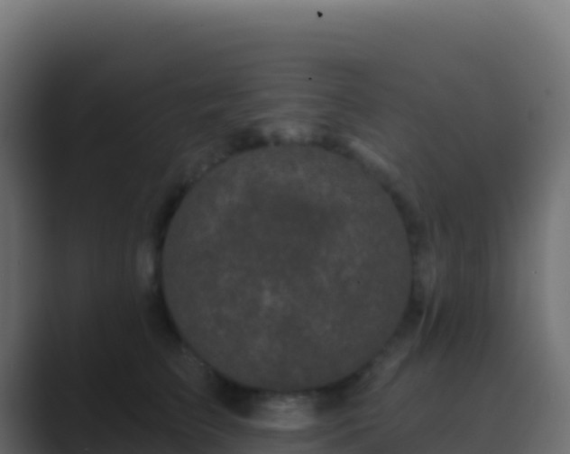 X0000089740709200706281607