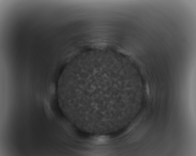 X0000089740711200706281607