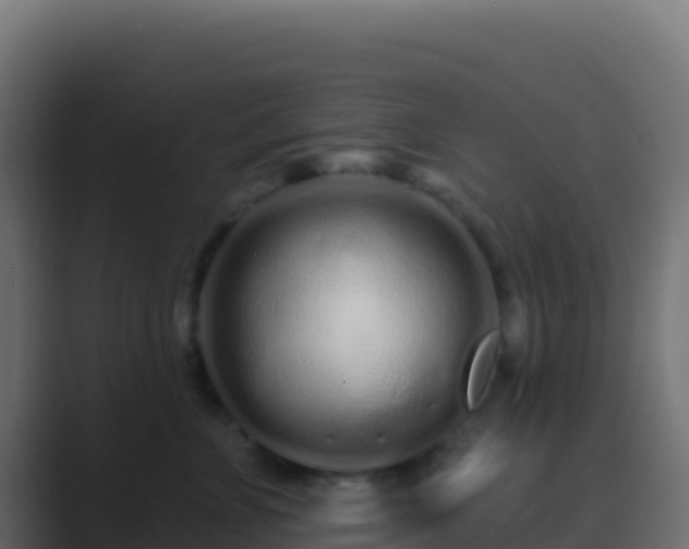 X0000089740715200706281607