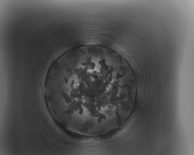 X0000089740721200706281607