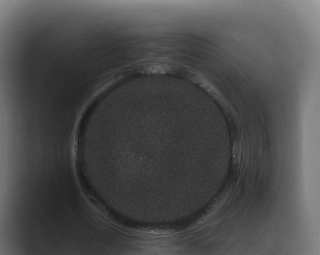 X0000089740722200706281607