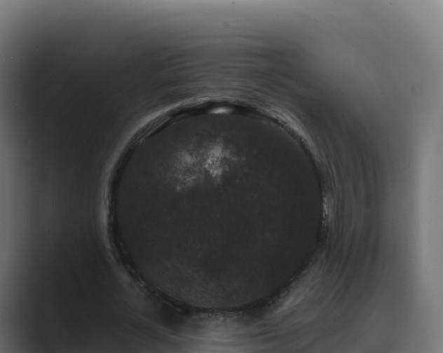 X0000089740724200706281607