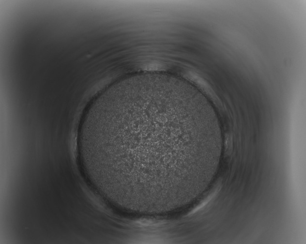 X0000089740725200706281607
