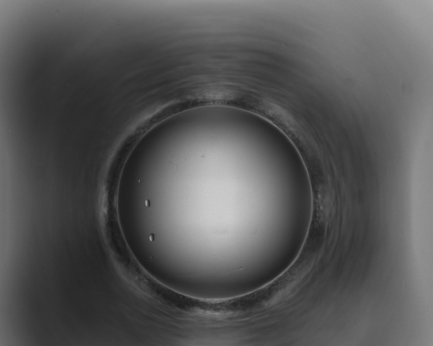 X0000089740726200706281607