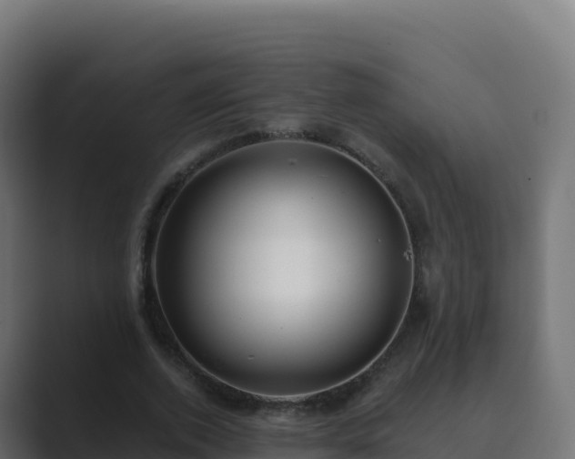 X0000089740728200706281607
