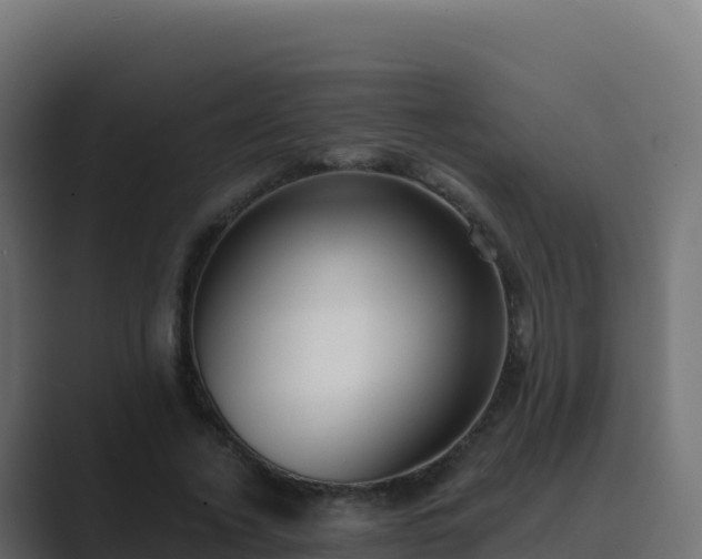 X0000089740732200706281607