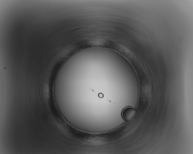 X0000089740734200706281607