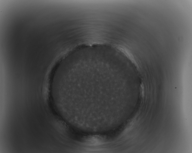 X0000089740736200706281607
