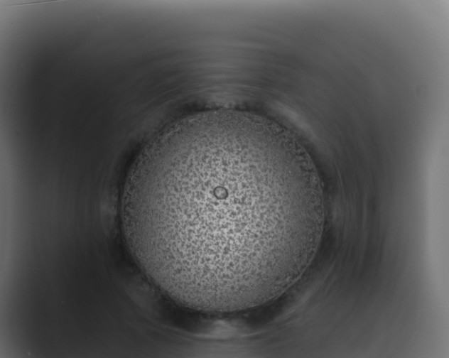 X0000089740737200706281607