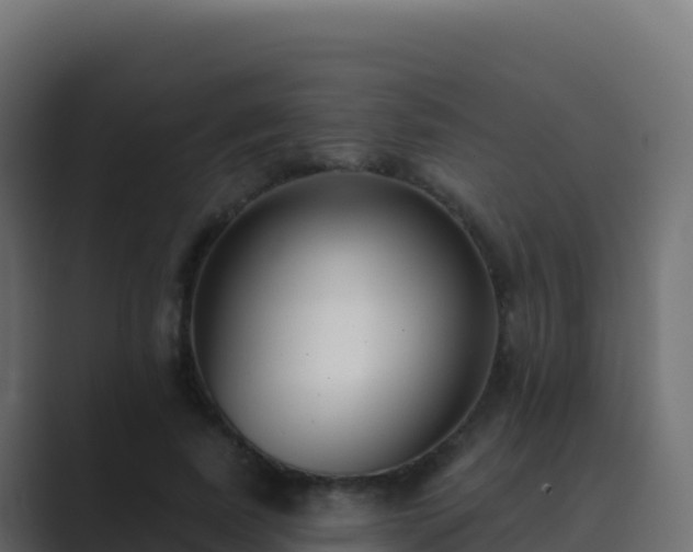 X0000089740739200706281607