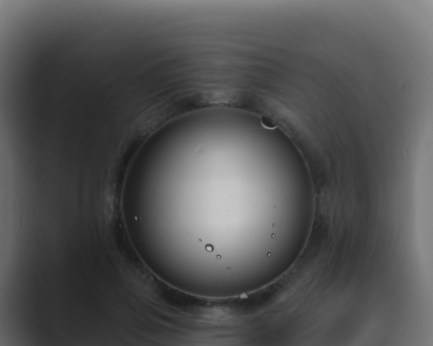 X0000089740741200706281607