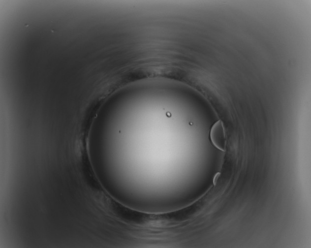 X0000089740746200706281607