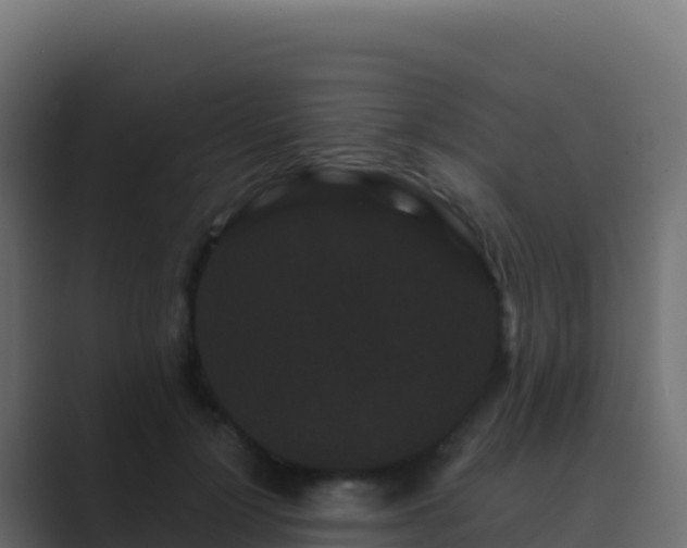 X0000089740748200706281607