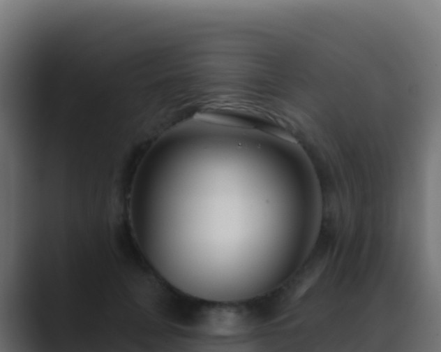 X0000089740751200706281607