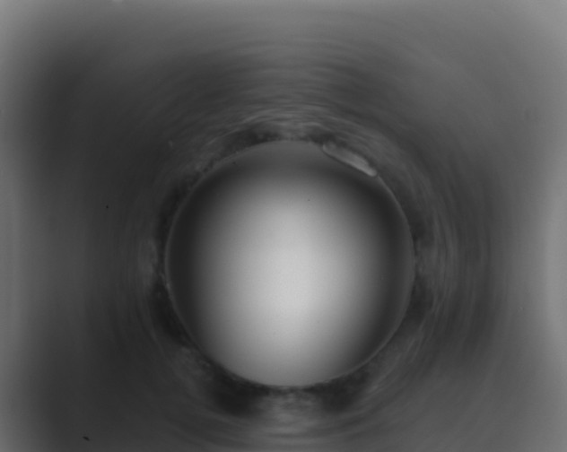 X0000089740752200706281607