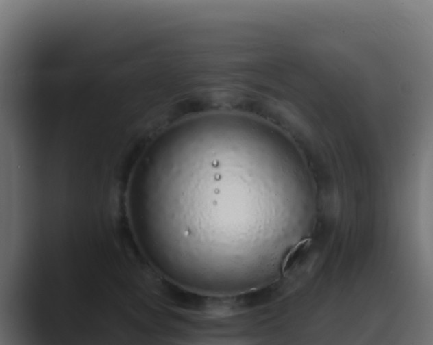 X0000089740757200706281607