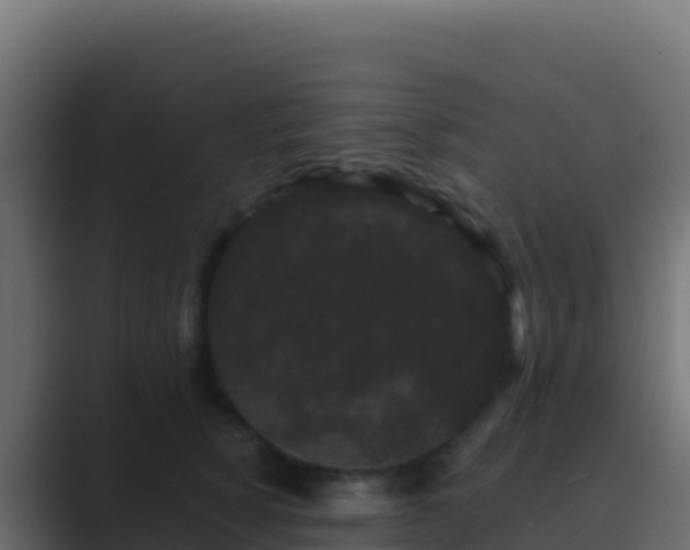 X0000089740760200706281607