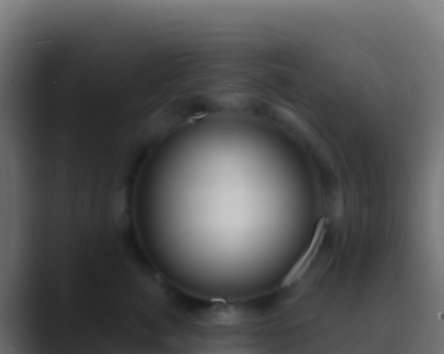 X0000089740764200706281607